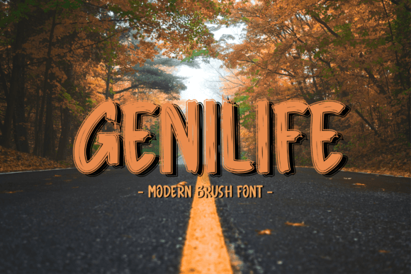 Genilife: A Handwritten Display Font for Modern Web Design