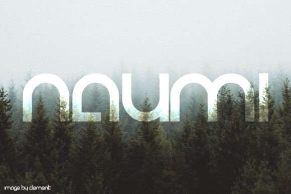 Naumi: The Elegant Display Font for Marketing Creatives