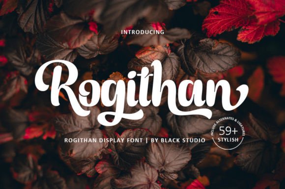 Rogithan in Practice: A Designer’s Test Drive